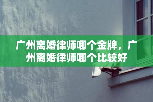广州离婚律师哪个金牌，广州离婚律师哪个比较好