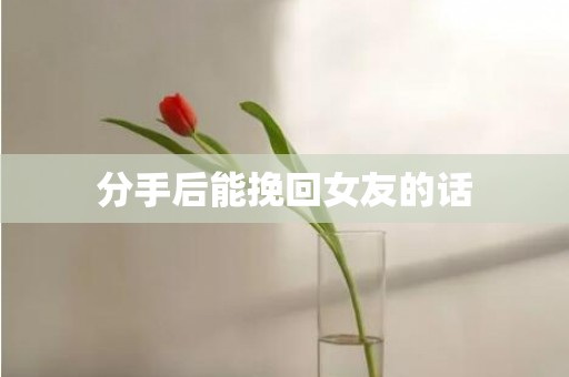 分手后能挽回女友的话