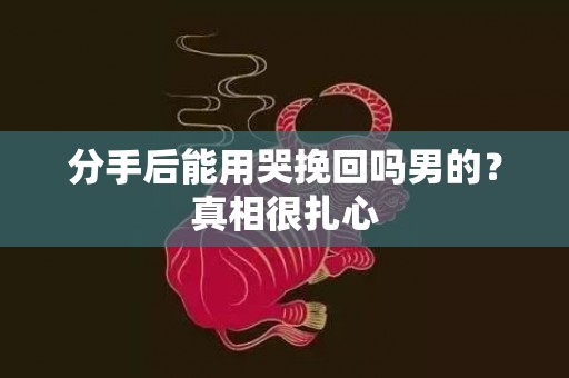 分手后能用哭挽回吗男的？真相很扎心