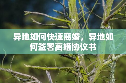 异地如何快速离婚，异地如何签署离婚协议书