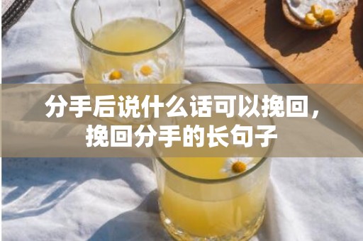 分手后说什么话可以挽回，挽回分手的长句子