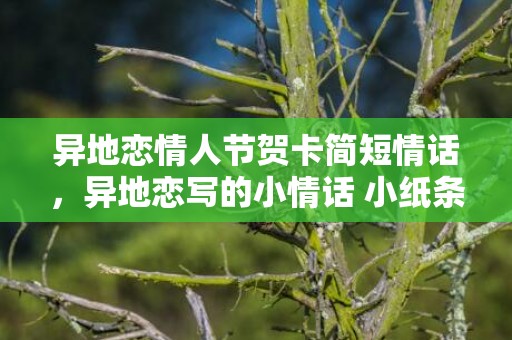 异地恋情人节贺卡简短情话，异地恋写的小情话 小纸条