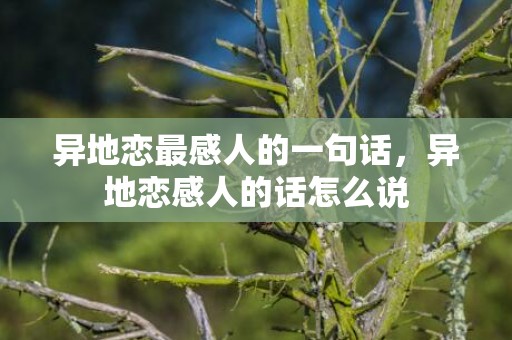 异地恋最感人的一句话，异地恋感人的话怎么说