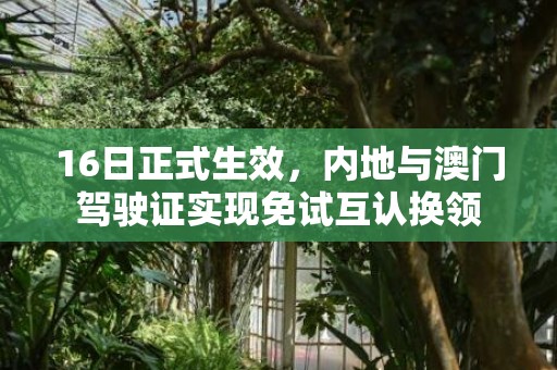 16日正式生效，内地与澳门驾驶证实现免试互认换领