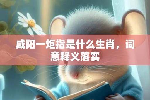 咸阳一炬指是什么生肖，词意释义落实