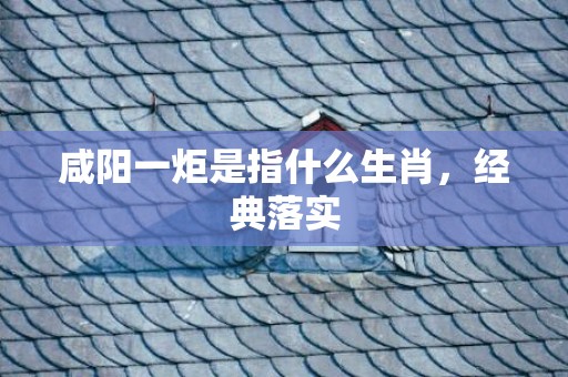 咸阳一炬是指什么生肖，经典落实