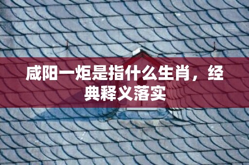 咸阳一炬是指什么生肖，经典释义落实