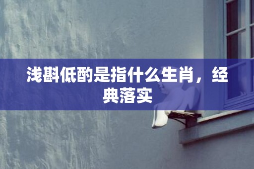 浅斟低酌是指什么生肖，经典落实