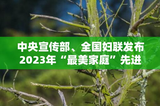 中央宣传部、全国妇联发布2023年“最美家庭”先进事迹