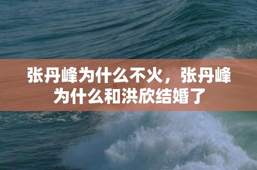 张丹峰为什么不火，张丹峰为什么和洪欣结婚了