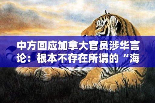 中方回应加拿大官员涉华言论：根本不存在所谓的“海外警察站”