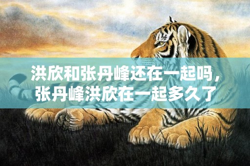 洪欣和张丹峰还在一起吗，张丹峰洪欣在一起多久了