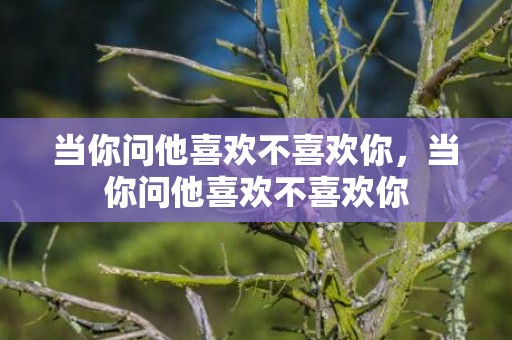 当你问他喜欢不喜欢你，当你问他喜欢不喜欢你