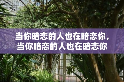 当你暗恋的人也在暗恋你，当你暗恋的人也在暗恋你