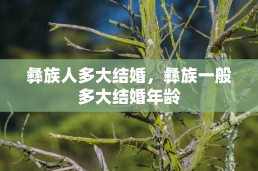 彝族人多大结婚，彝族一般多大结婚年龄