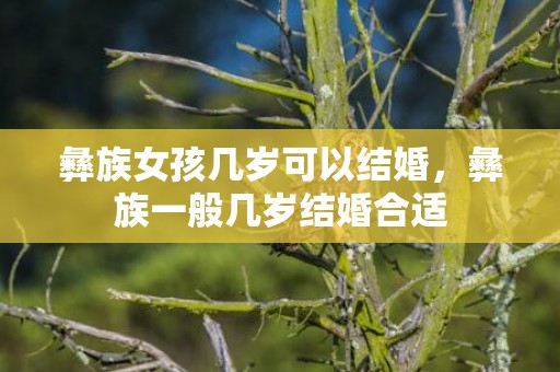 彝族女孩几岁可以结婚，彝族一般几岁结婚合适