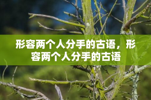 形容两个人分手的古语，形容两个人分手的古语