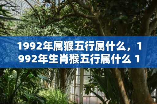 1992年属猴五行属什么，1992年生肖猴五行属什么 1992年属猴是什么命