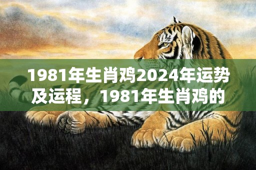 1981年生肖鸡2024年运势及运程，1981年生肖鸡的幸运数字幸运颜色 属金颜色数字带来好运与福气