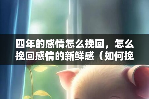 四年的感情怎么挽回，怎么挽回感情的新鲜感（如何挽回新鲜感）