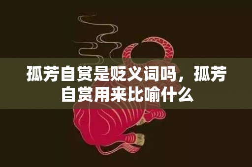 孤芳自赏是贬义词吗，孤芳自赏用来比喻什么