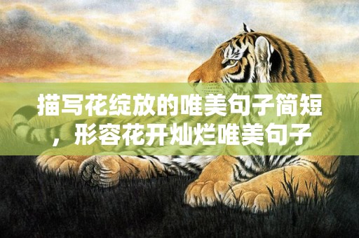 描写花绽放的唯美句子简短，形容花开灿烂唯美句子