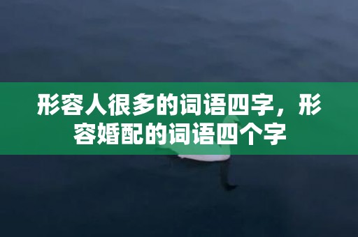 形容人很多的词语四字，形容婚配的词语四个字