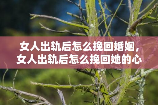 女人出轨后怎么挽回婚姻，女人出轨后怎么挽回她的心（怎样才能挽回出轨女人的心）