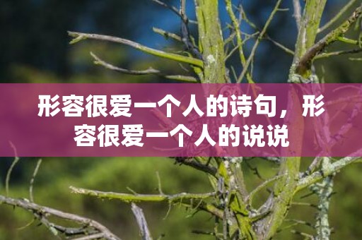 形容很爱一个人的诗句，形容很爱一个人的说说