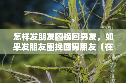 怎样发朋友圈挽回男友，如果发朋友圈挽回男朋友（在朋友圈发什么能挽回男朋友）
