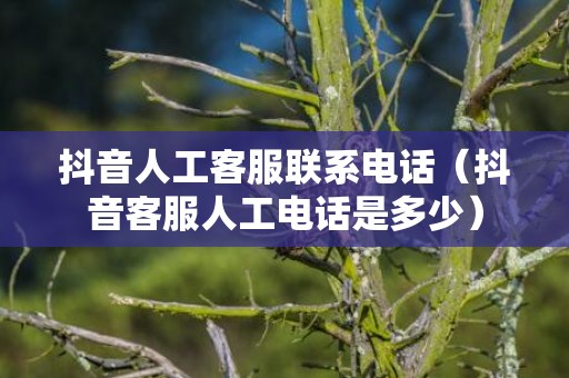 抖音人工客服联系电话（抖音客服人工电话是多少）