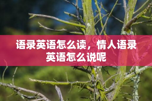 语录英语怎么读，情人语录英语怎么说呢