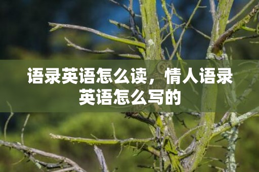 语录英语怎么读，情人语录英语怎么写的