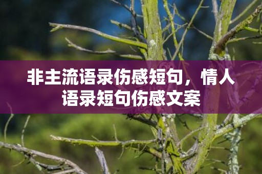 非主流语录伤感短句，情人语录短句伤感文案