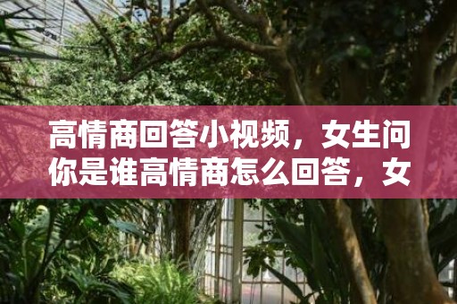 高情商回答小视频，女生问你是谁高情商怎么回答，女生问你是谁高情商怎么高冷回答