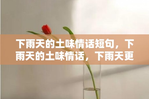 下雨天的土味情话短句，下雨天的土味情话，下雨天更配的土味情话