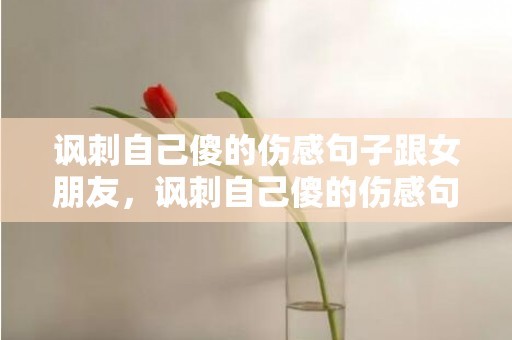 讽刺自己傻的伤感句子跟女朋友，讽刺自己傻的伤感句子，自己傻的说说心情短语