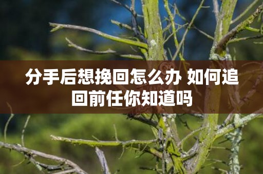 分手后想挽回怎么办 如何追回前任你知道吗