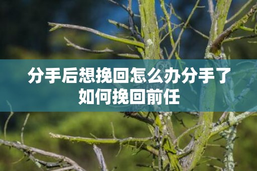 分手后想挽回怎么办分手了如何挽回前任