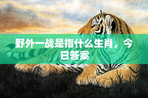 野外一战是指什么生肖，今日答案
