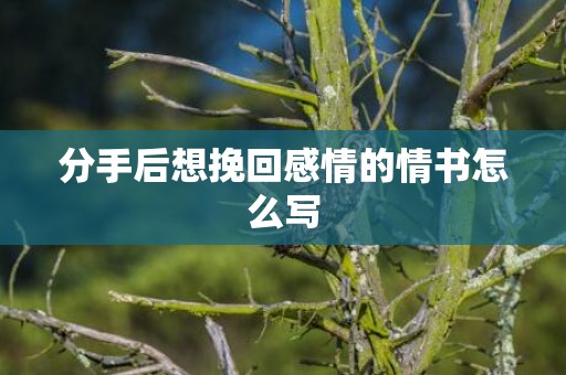 分手后想挽回感情的情书怎么写