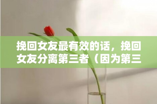 挽回女友最有效的话，挽回女友分离第三者（因为第三者分手怎么挽回）