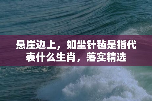 悬崖边上，如坐针毡是指代表什么生肖，落实精选