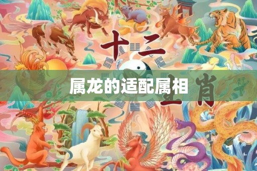 属龙的适配属相