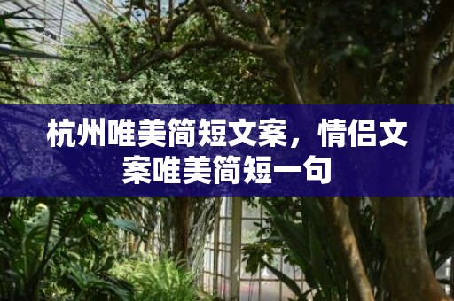 杭州唯美简短文案，情侣文案唯美简短一句