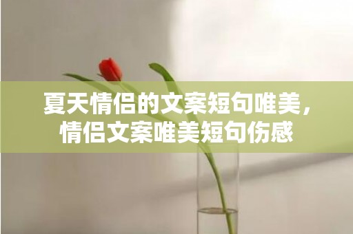 夏天情侣的文案短句唯美，情侣文案唯美短句伤感