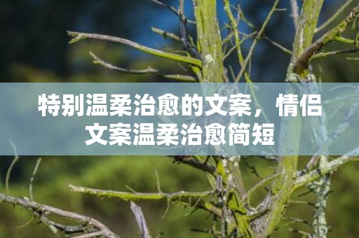 特别温柔治愈的文案，情侣文案温柔治愈简短
