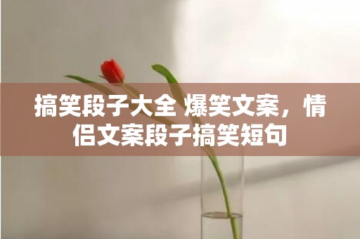 搞笑段子大全 爆笑文案，情侣文案段子搞笑短句