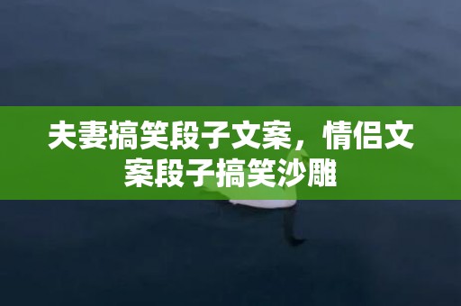 夫妻搞笑段子文案，情侣文案段子搞笑沙雕