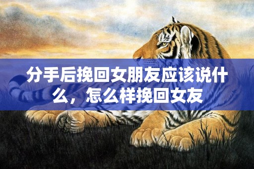 分手后挽回女朋友应该说什么，怎么样挽回女友